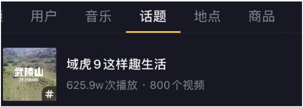 江铃域虎